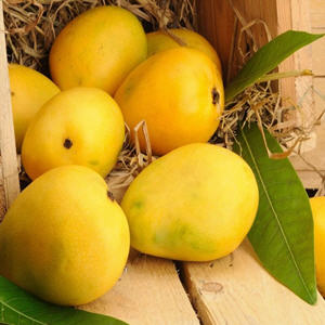 MANGO ORGANIC FRUIT